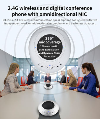 Soluzione di riunioni in sala conferenze Videoconferenza Microfono wireless dual 5.8G